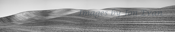Terrain
