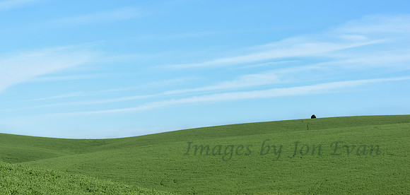 Isolated