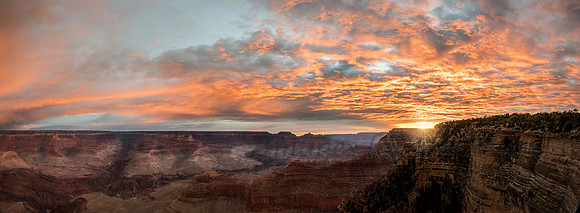 Grand Color in the Canyon