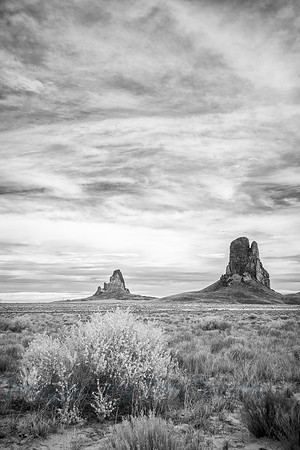 Lost Souls in the Desert