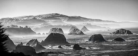 Along the California Coast