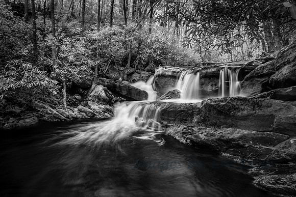 Cool Waters in Tremont